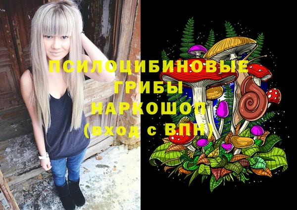 spice Алексеевка
