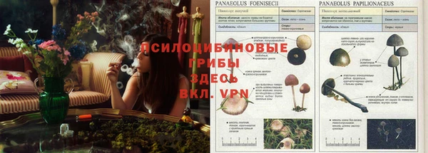 альфа пвп VHQ Алзамай