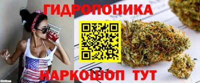 эйфоретик Апшеронск