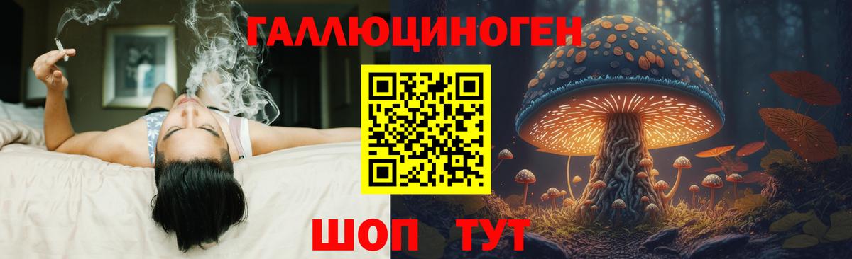 Апшеронск  Галлюциногенные грибы Psilocybe  Вход с VPN 